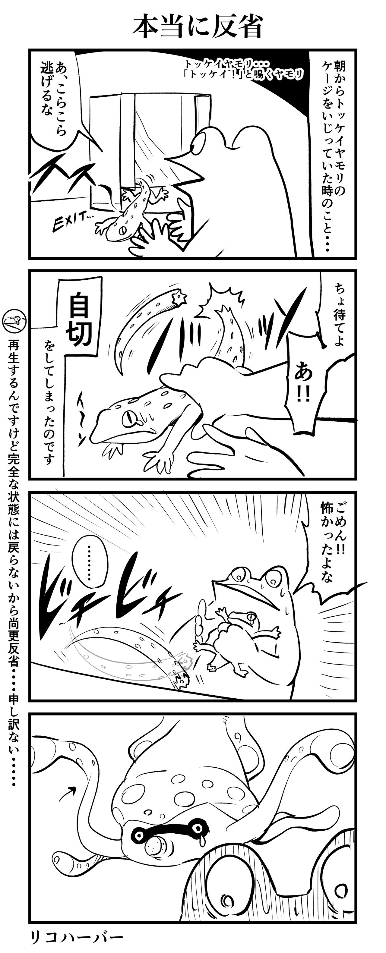 カエルDXのオタ活日記 Powered by ライブドアブログ